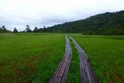 P7190119.jpg