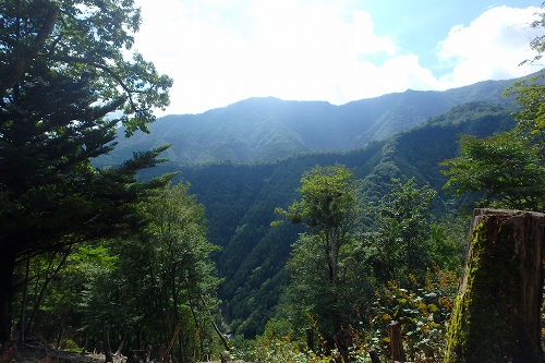 P9061947.jpg