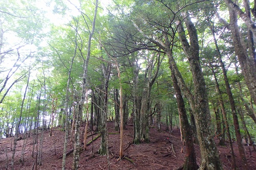 P9061951.jpg