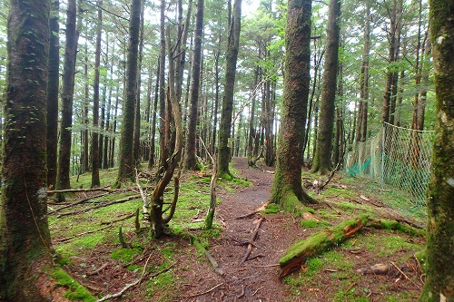 P9061953.jpg