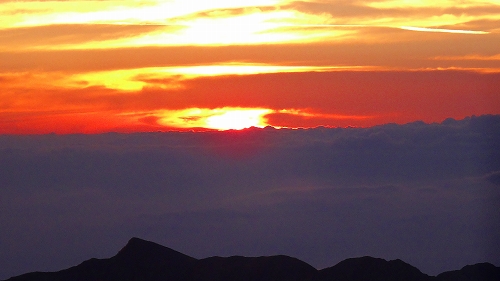 DSC03726.jpg