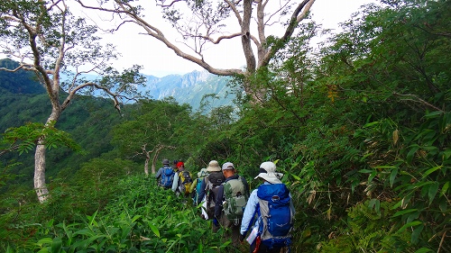 DSC03780.jpg