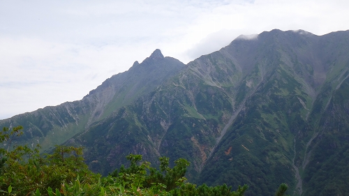 DSC03796.jpg