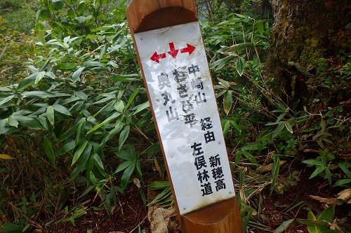 P9031920.jpg