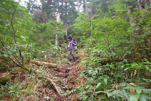 P9031924.jpg