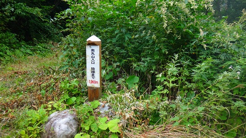 DSC03802.jpg
