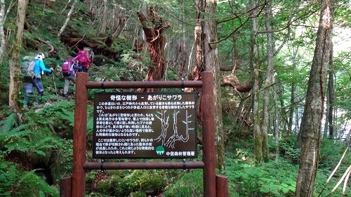 DSC03965.jpg
