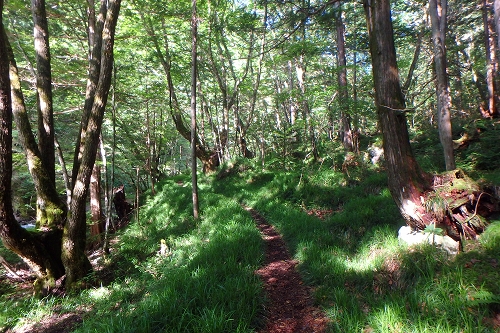 P9102018.jpg