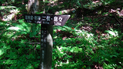 DSC03977.jpg