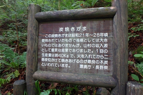 P9102029.jpg