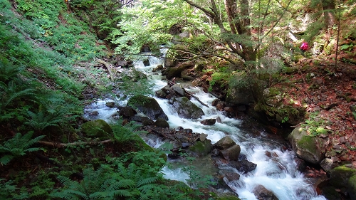 DSC03989.jpg