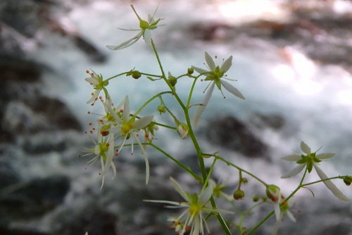 P9102046.jpg