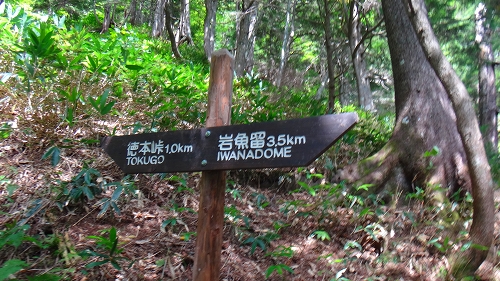 DSC04044.jpg