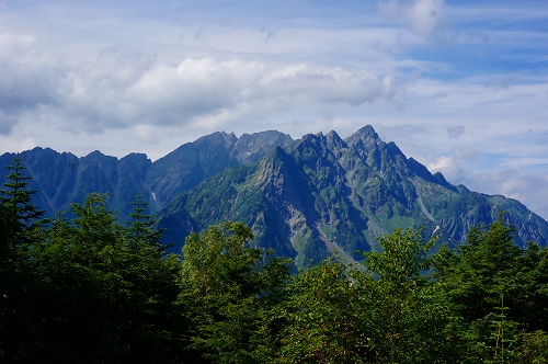 DSC02932.jpg