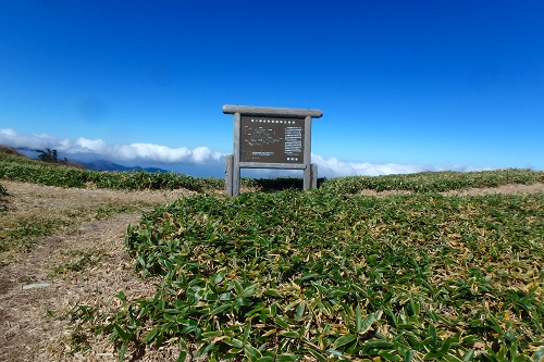 PA230142.jpg