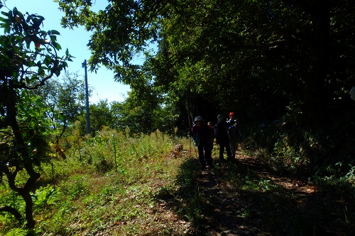 PA280403.jpg