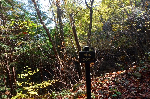 PB110072.jpg