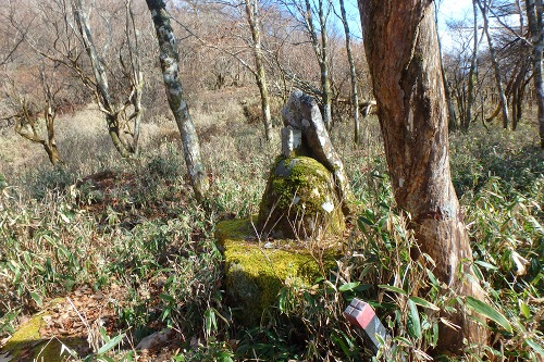 PB230737.jpg