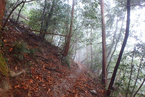 P1221763.jpg