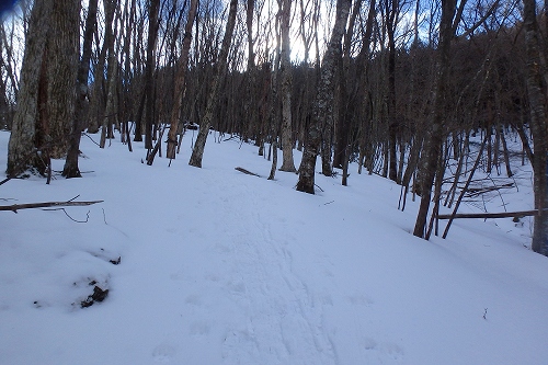 P2011911.jpg