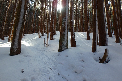P2011917.jpg