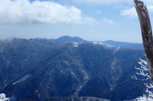 P2011939.jpg