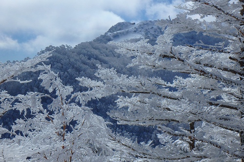 P2011941.jpg