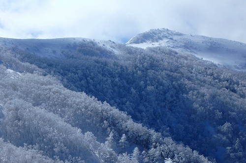 P2011943.jpg