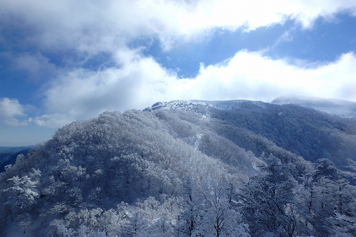 P2012012.jpg