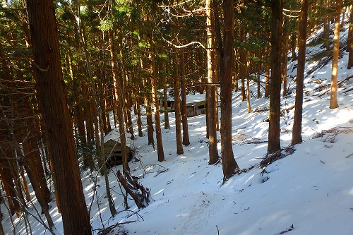 P2012031.jpg