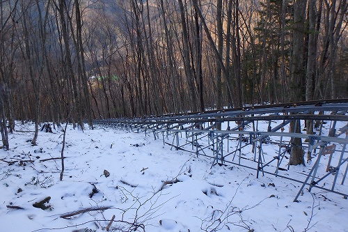 P2012033.jpg