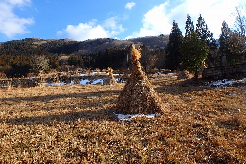 P2012039.jpg