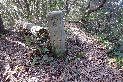 P2142373.jpg