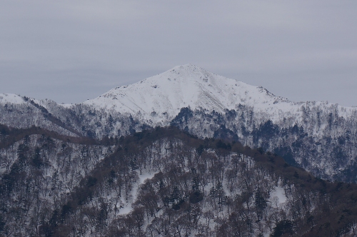 DSC04246.jpg