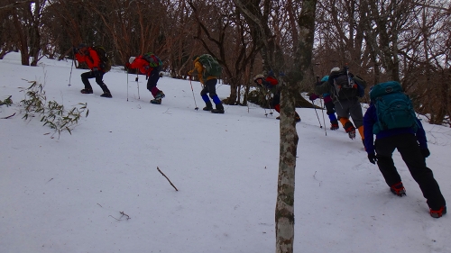 DSC06739.jpg