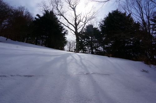 DSC04265.jpg