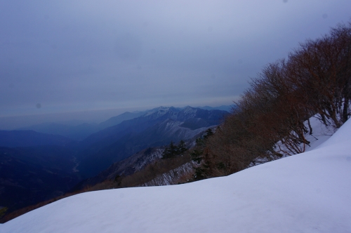 DSC04283.jpg