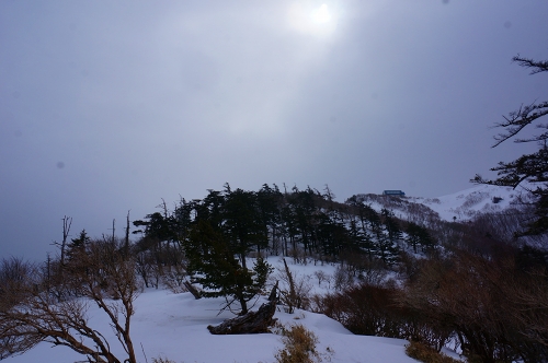 DSC04286.jpg