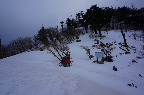 DSC04287.jpg