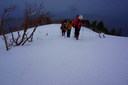 DSC04290.jpg