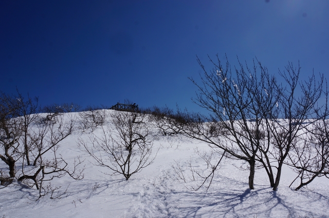 DSC04436.jpg