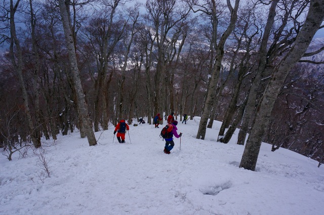 DSC04533.jpg