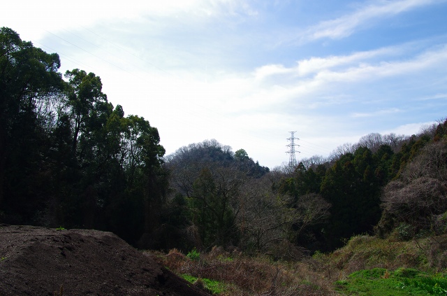 IMGP0803.jpg