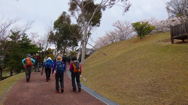 DSC07117.jpg