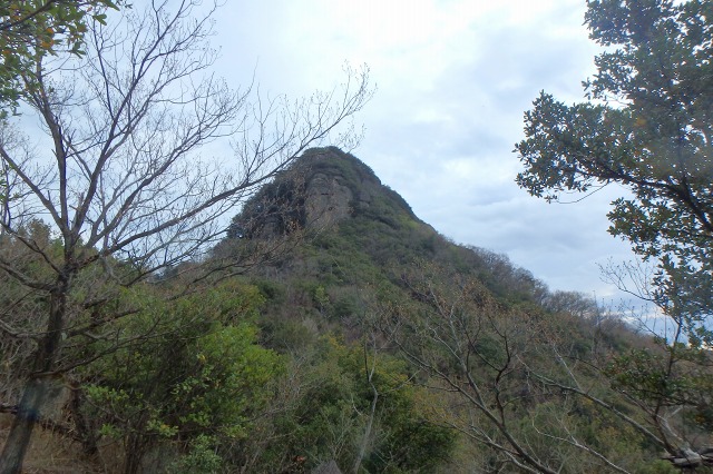 P4030729.jpg