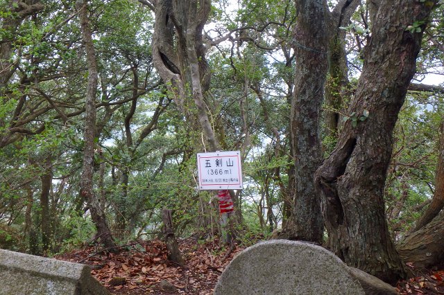 P4030739.jpg
