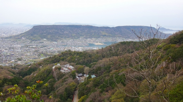 DSC07176.jpg