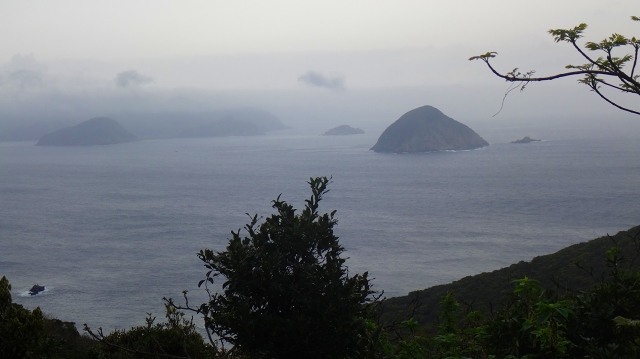 DSC07228.jpg