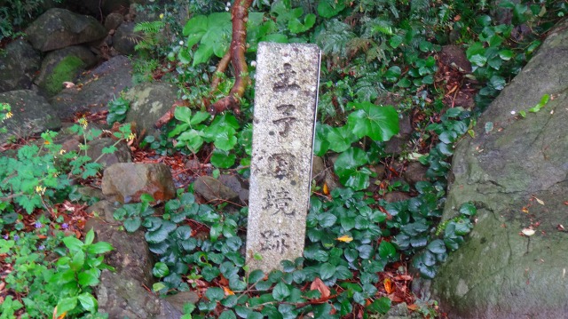 DSC07231.jpg