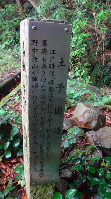 DSC07232.jpg